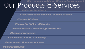 Our products  services box